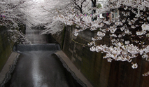 nakameguro