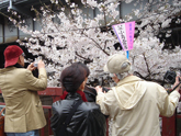 nakameguro2